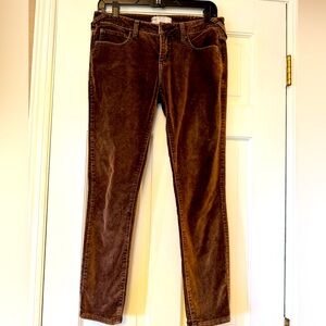 Free People Chocolate Brown Velvet Straight Leg Jeans